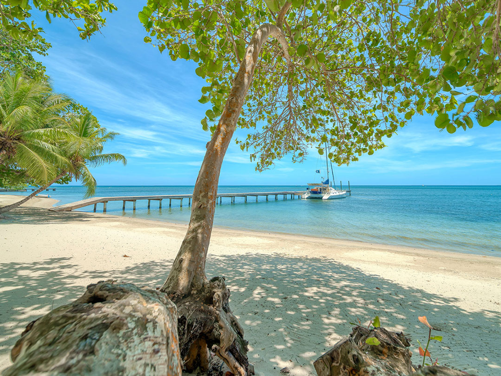 pier – Watercolors Roatan Honduras